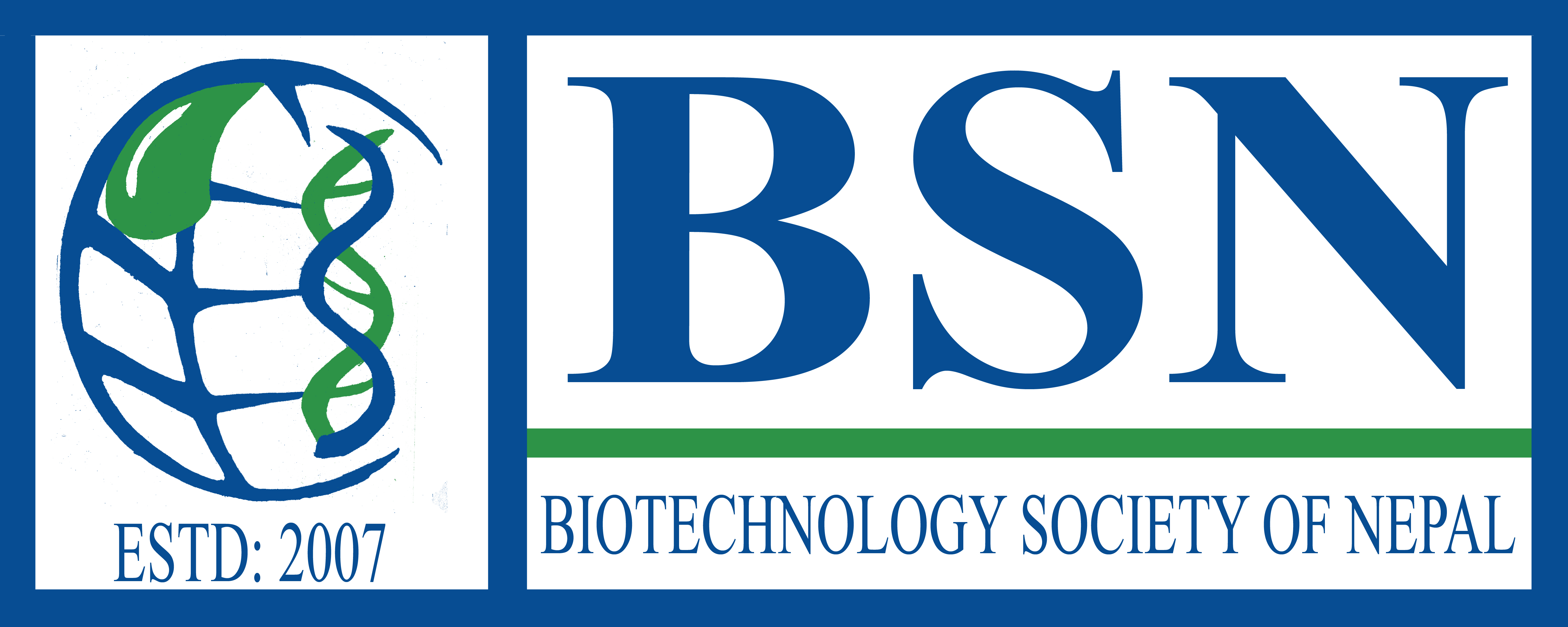 BSN Logo